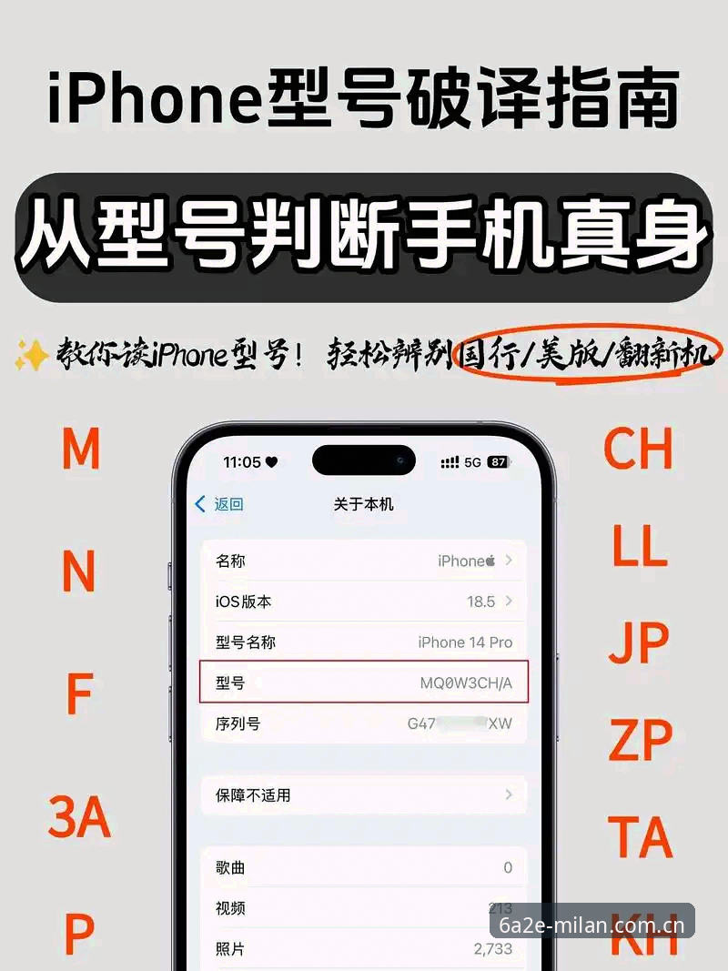 新手实操对比：acmilan.cn中国区苹果下载，哪个版本更适合你？